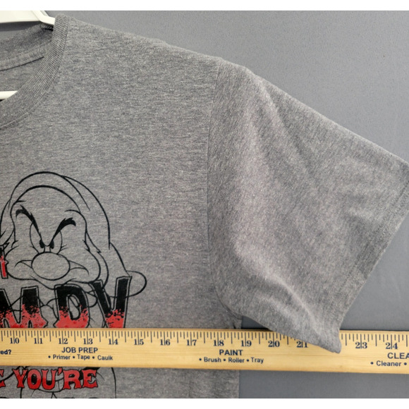 Disney Parks T-shirt Grumpy Adult Medium Gray Heathered Graphic Short Sleeves - Picture 7 of 11